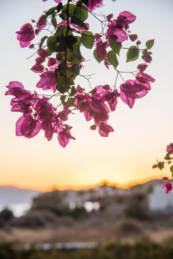Island House Mare Apartment Milopotas Exterior foto